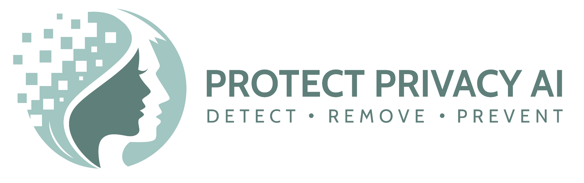 Protect Privacy AI